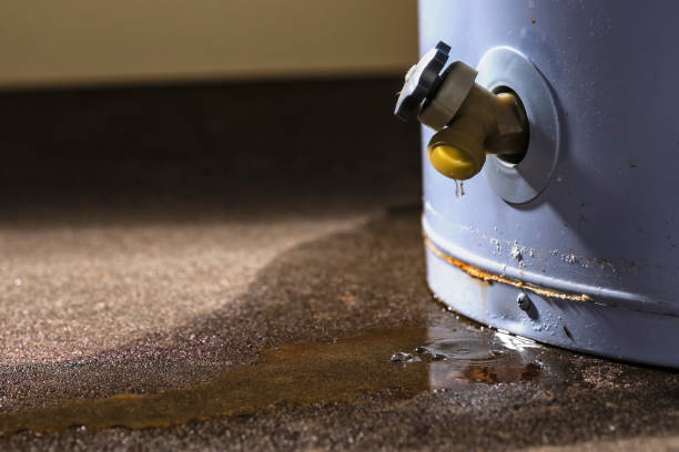 Best Fire Damage Restoration  in Syracuse, KS