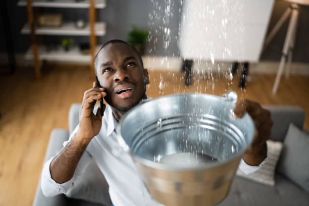 Best Flood damage cleanup  in Syracuse, KS