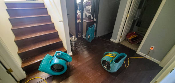 Best Flooded house restoration  in Syracuse, KS