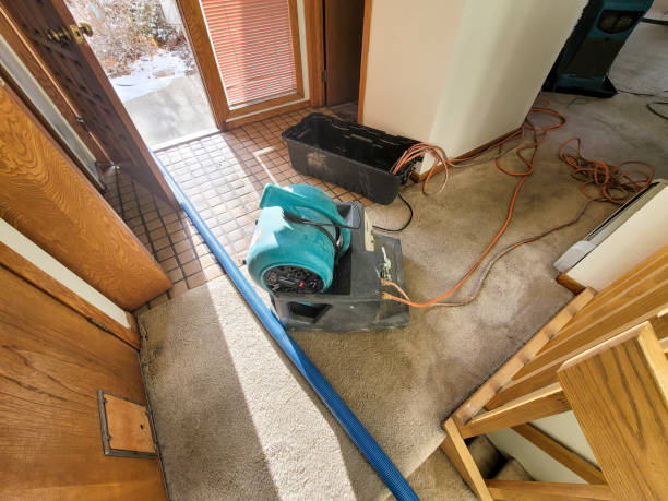 Reliable KS Water damage restoration Solutions