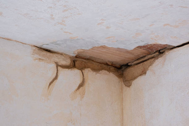 Best Basement water damage restoration  in Syracuse, KS