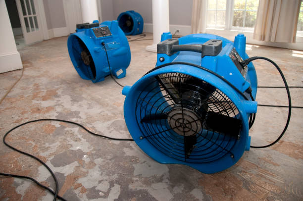 Best Water damage restoration near me  in Syracuse, KS