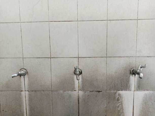 Best Water damage restoration experts  in Syracuse, KS