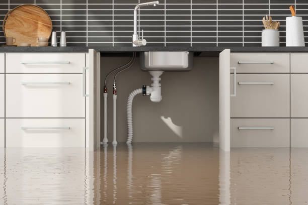 Best 24/7 water damage repair  in Syracuse, KS