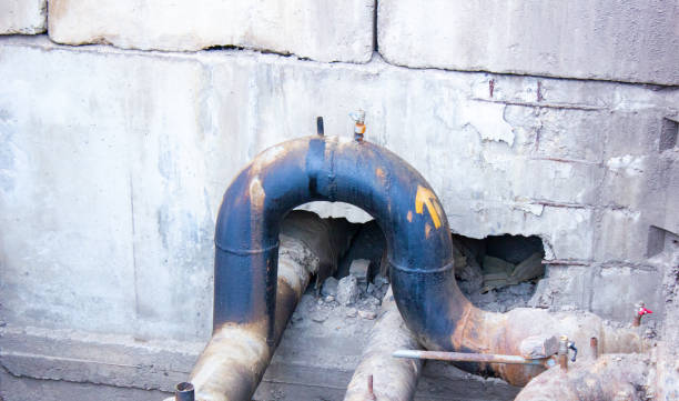 Best Mold removal after water damage  in Syracuse, KS