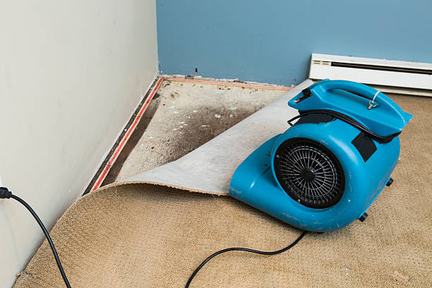 Best Ceiling water damage repair  in Syracuse, KS